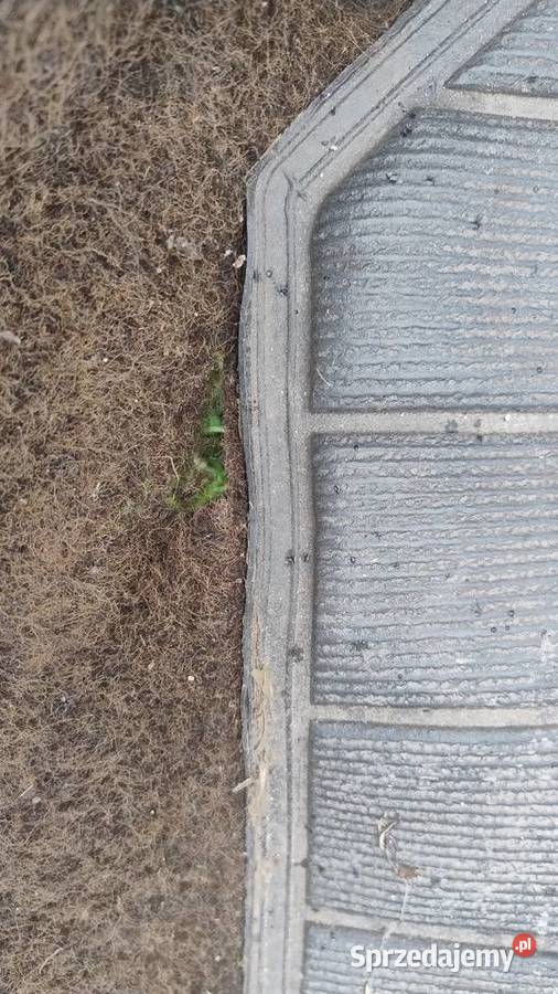 Wykładziny Fiat 132 sprzedam