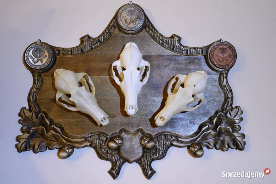 Rzeźbiona podkładka pod medalowe czaszki Odolanów
