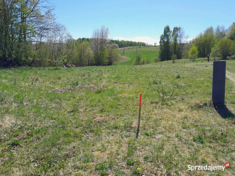 Kaszuby działka rekreacyjna 1134 m2 Przodkowo 30 rekreacyjna Załęże