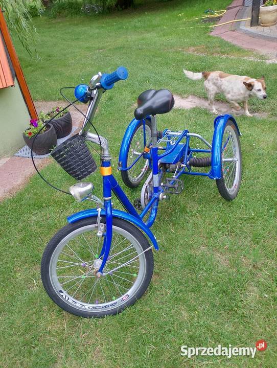 Rower rehabilitacyjny Misiarz