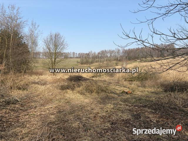 Działka Wodzisław Śląski 1353m2 1353m2 śląskie