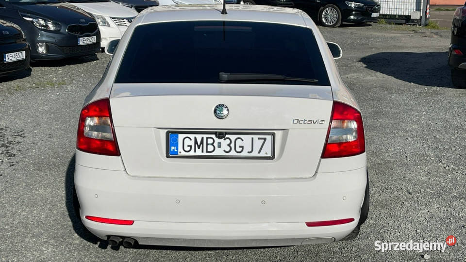 koda Octavia Benzyna Automat Salon Polska 172745km Elbląg