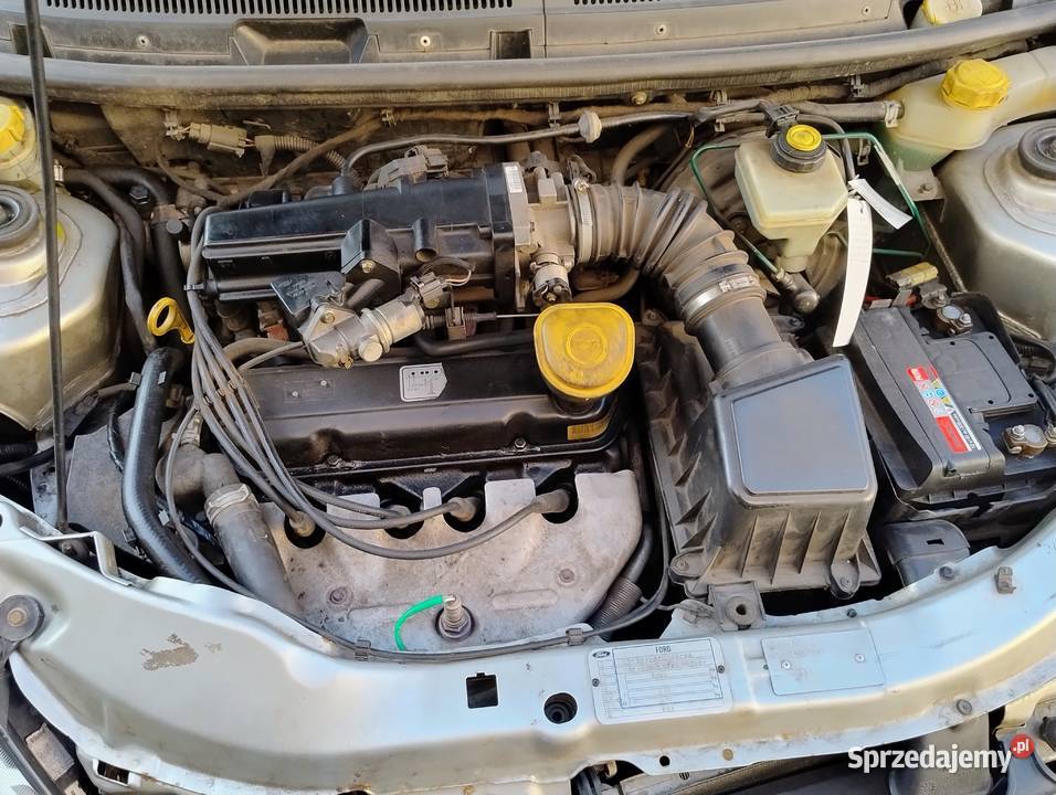 Ford Ka damski zakupowiec uszkodzony Włocławek