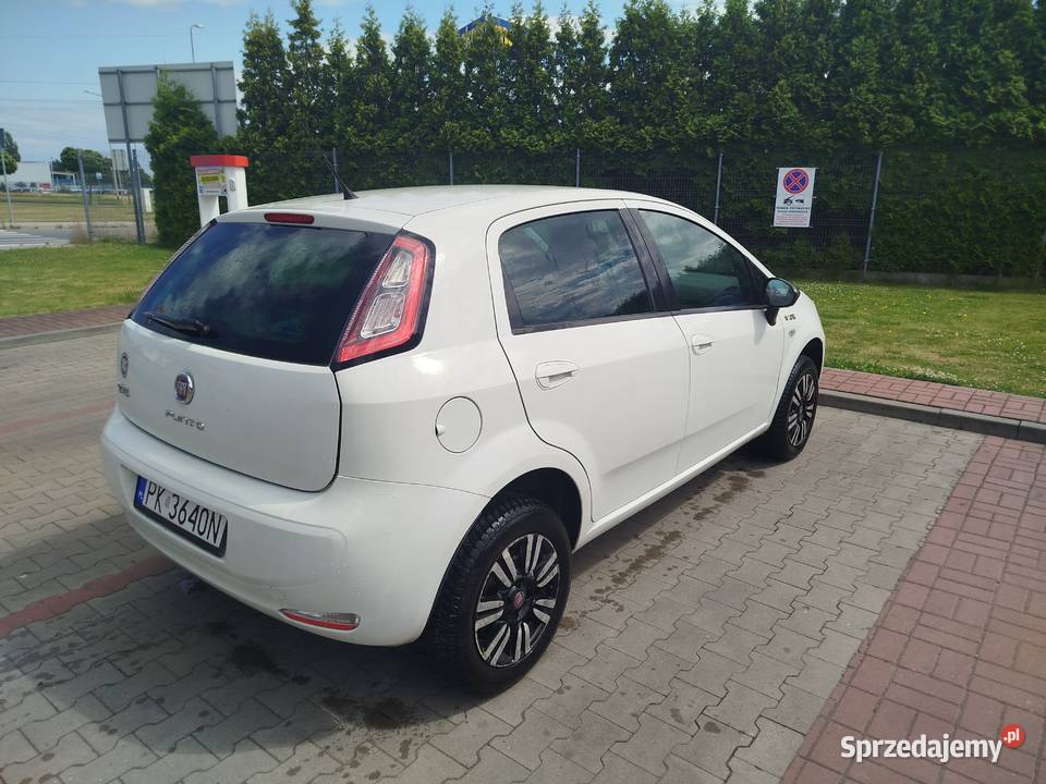 Fiat Punto Young 14 benzyna 2014 Kalisz