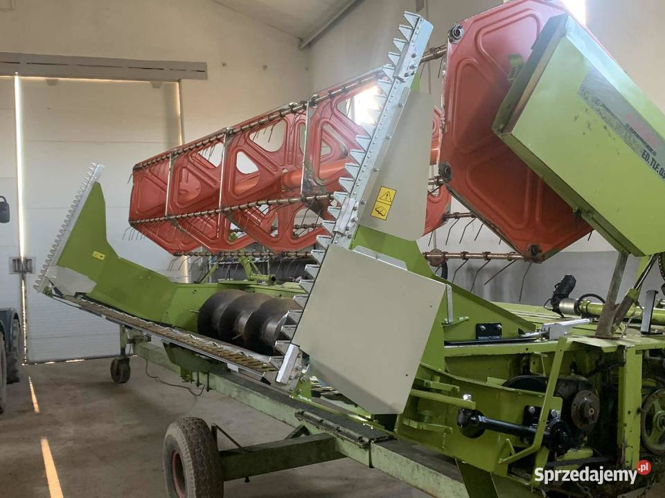 Stoly do rzepaku wielkopolskie Dziewoklucz