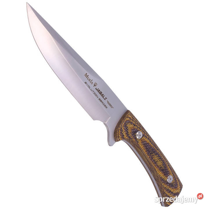 Nóż Muela Jabali Brown Micarta Satin 170mm mazowieckie Warszawa