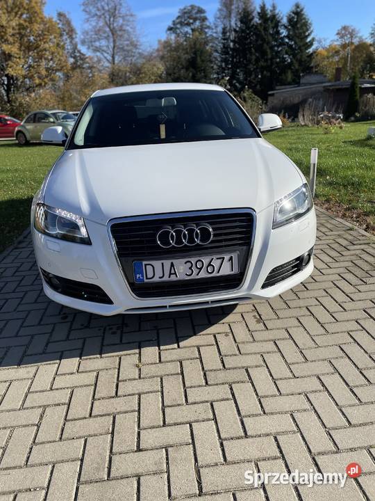Audi A3 8P 2010r 16 TDI 105 Paszowice