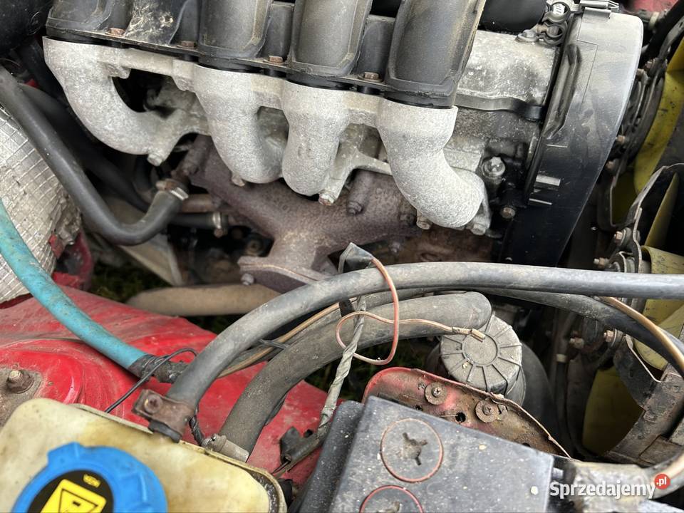 Polonez cargo 5 osobowy diesel Suwałki