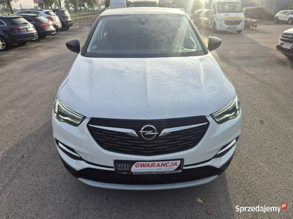 Opel Grandland X 12Turbo 130 Biała Perła Gniewkowo