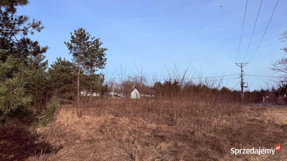 Działka budowlana RosochaKolonia Sprzedaż Rosocha-Kolonia