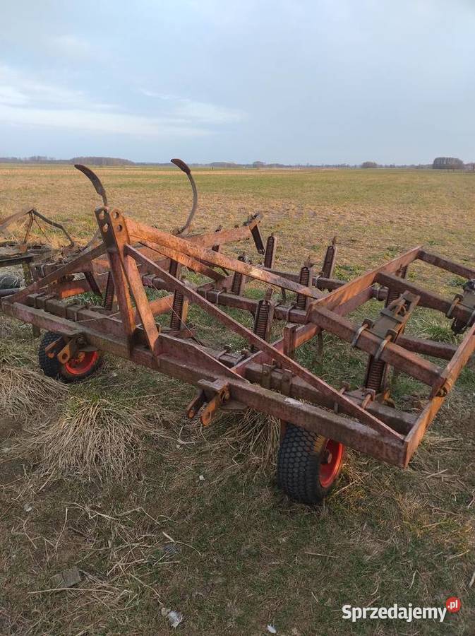 Gerbery ścierniskowe drapali kultywatory