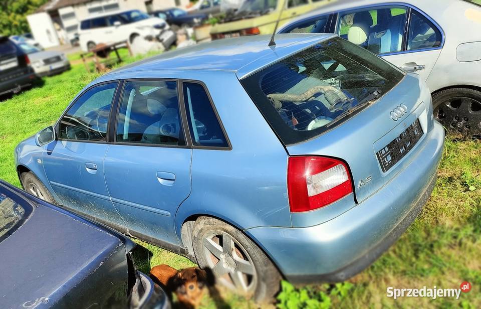 Audi A3 8L 16 MPI A3 lubuskie Żagań