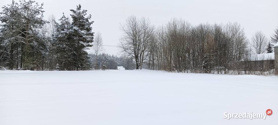 2 działki budowlane w Donimierzu k Szemuda Donimierz