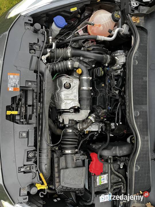 Ford Fiesta Mk8 15 tdci 2020r led winter Kalisz