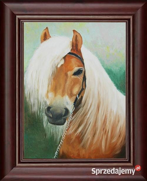 Obraz olejny Białogrzywy koń wielokolorowy Lublin