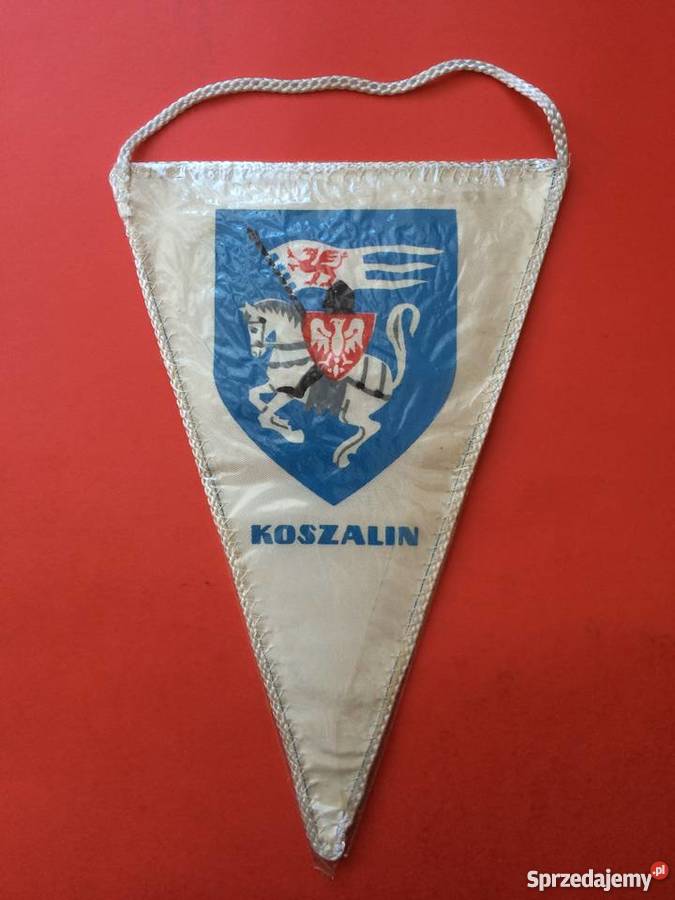 287 Proporczyk Szkolny Związek Sportowy Szczecin