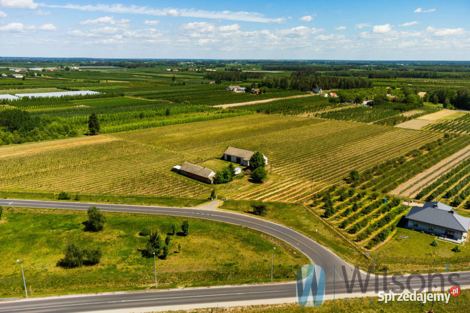 sprzedaży gruntu 56500m2 Józefów Grunty i działki