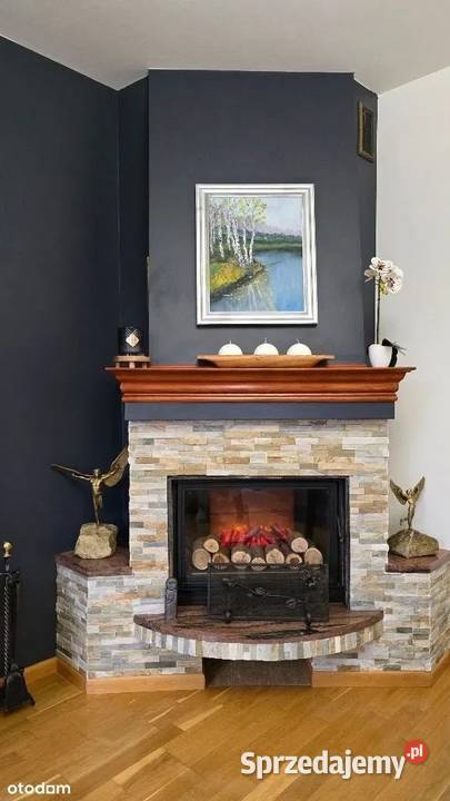 Dom jednorodzinny wolnostojący Sprzedaż Michałów-Reginów