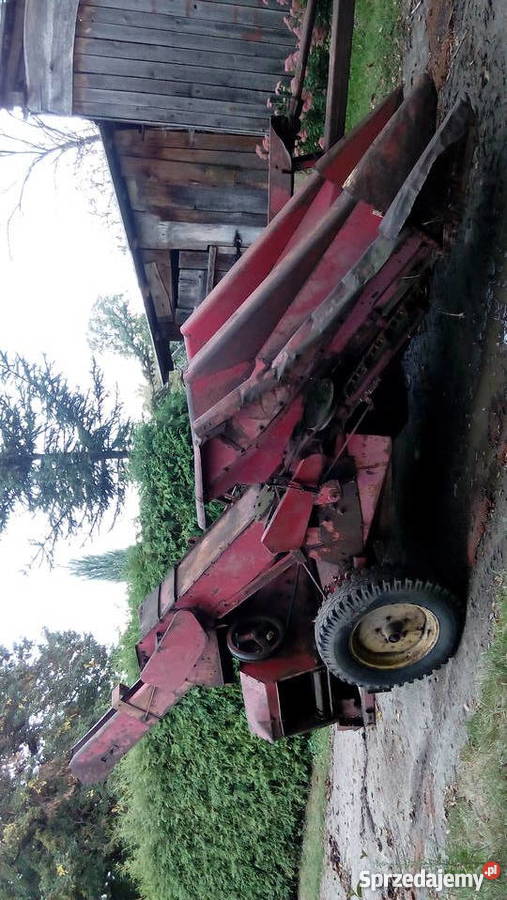 maszyna do zbioru kukurydzy kolby ziarno Osiny