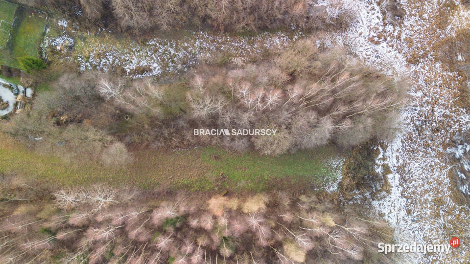 Grunt sprzedam 3296m2 Skawina Bukowska małopolskie sprzedam
