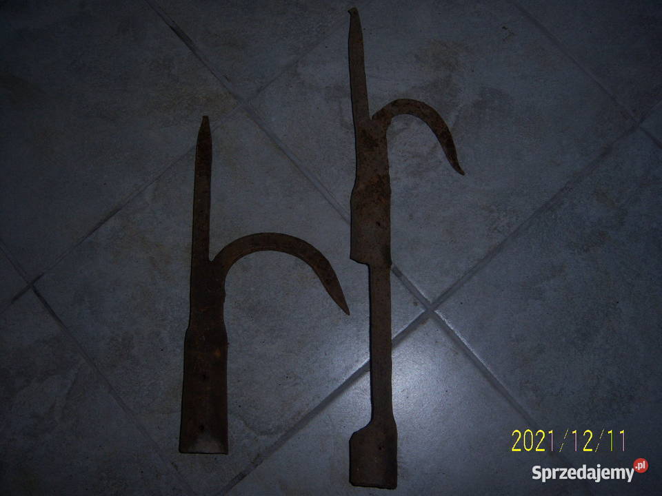 Bosak bosaki kolekcjonerskie kute Kielce