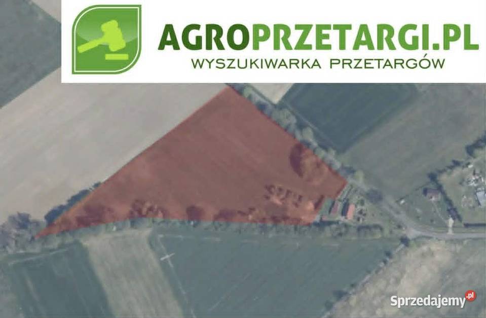 Dzierżawa 546 ha gruntu rolnego Kamień Pomorski