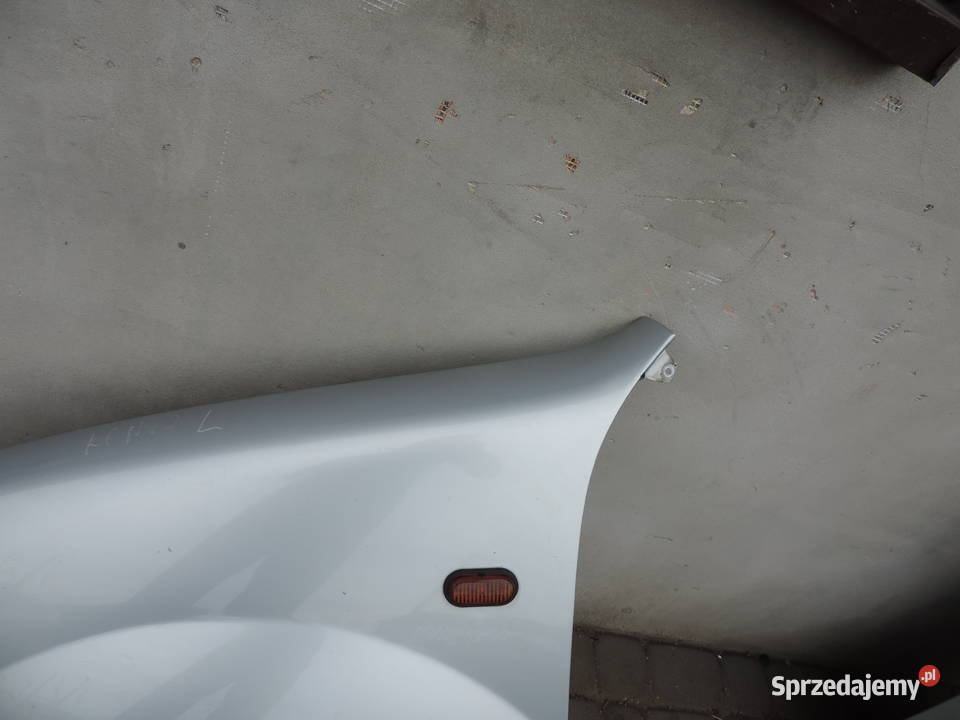 RENAULT KANGOO 1 BŁOTNIK LEWY PRZÓD TEB64 małopolskie Nowy Sącz