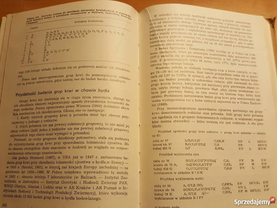 PODRĘCZNIK studentów Hodowla bydła W Zalewski Złotniki