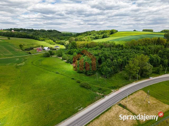 Działka 1000m2 Wielopole Skrzyńskie sprzedam