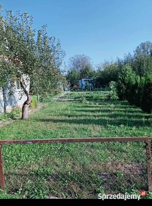 Działka rekreacyjna RADZIKÓW RODOS Staszów