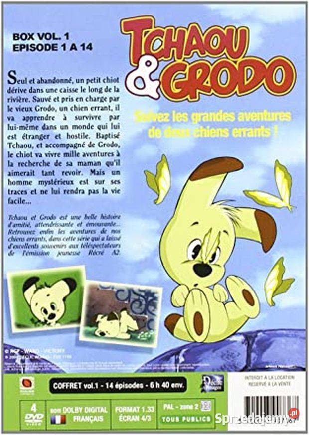 Piesek Bum Bum wersja Francuska 4 DVD Kultura i Rozrywka Zamość