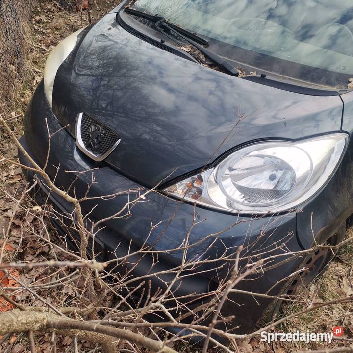 Peugeot 107 wszystkie części Gubin