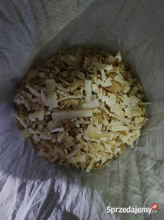 Trociny grube wióry Kcynia