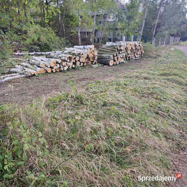 sprzedam drewno brzoza i dąb w wałkach 12m Tarnowskie Góry