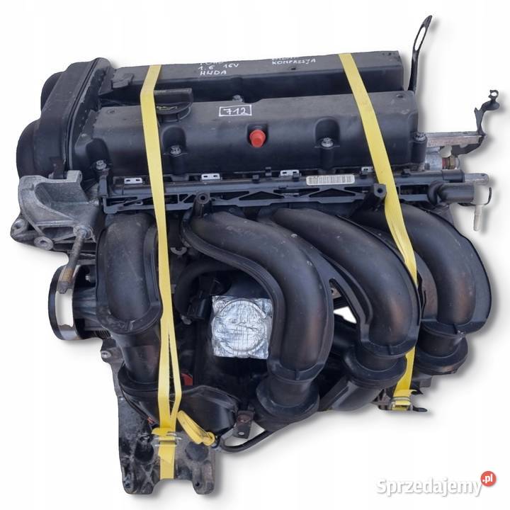 SILNIK KOMPLET Ford C C 16 16V 100 SHDA SHDB osobowe Chełm sprzedam