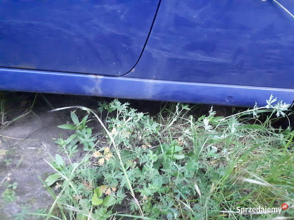 Volkswagen Polo 6N1 granatowy 3 drzwiowy Poznań