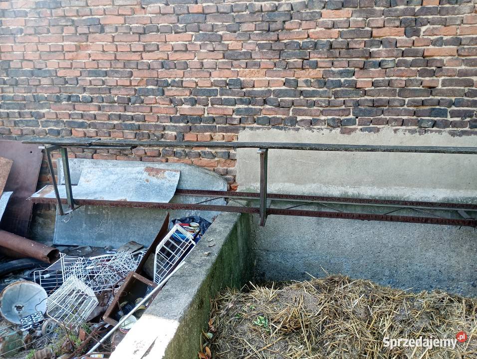 Urządzenie do kantowania kloców dolnośląskie Skalice