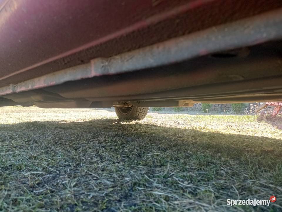 Seicento 600 Kołodziejowy Grąd