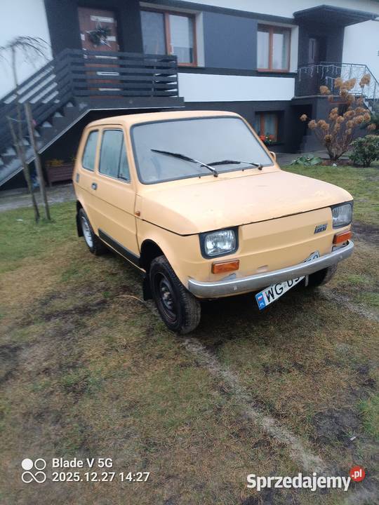 126p benzyna Prandocin