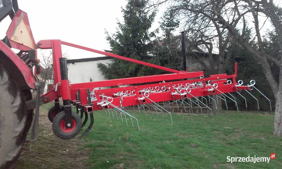 pielnik chwastownik do czosnku opolskie Nysa