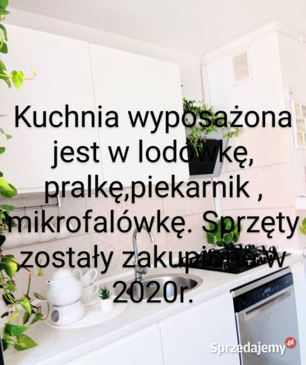 Duże mieszkanie Jelenia Góra Cieplice 110m2 Sprzedaż