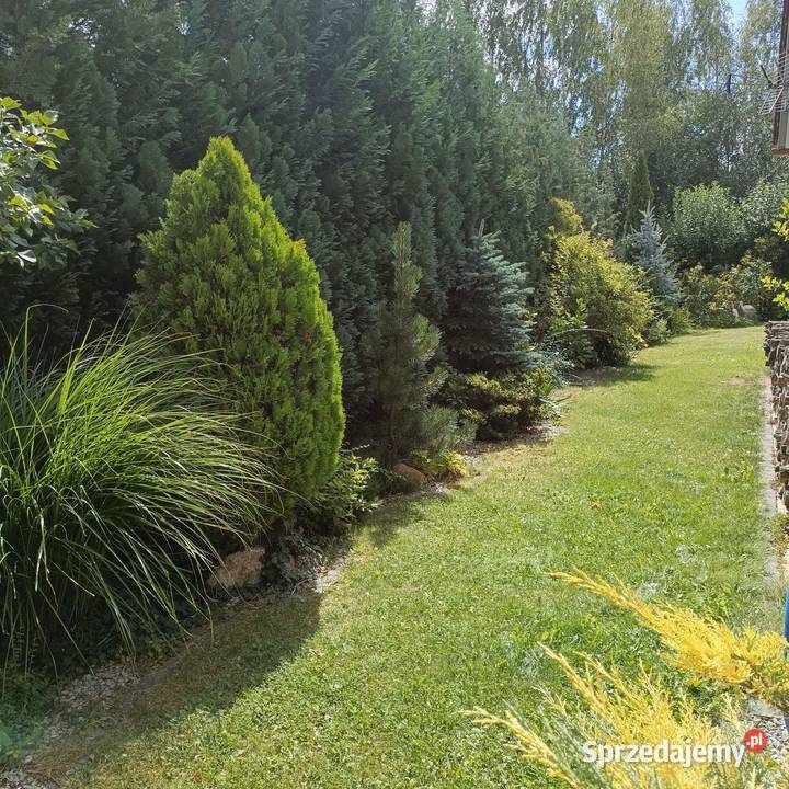 Sprzedam dom 128 m2 jednorodzinny z 2017riku Głuchołazy