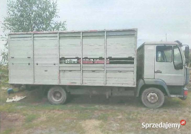 Syndyk sprzeda samochód ciężarowy marki MAN do Rok produkcji 1994 wielkopolskie Rybno