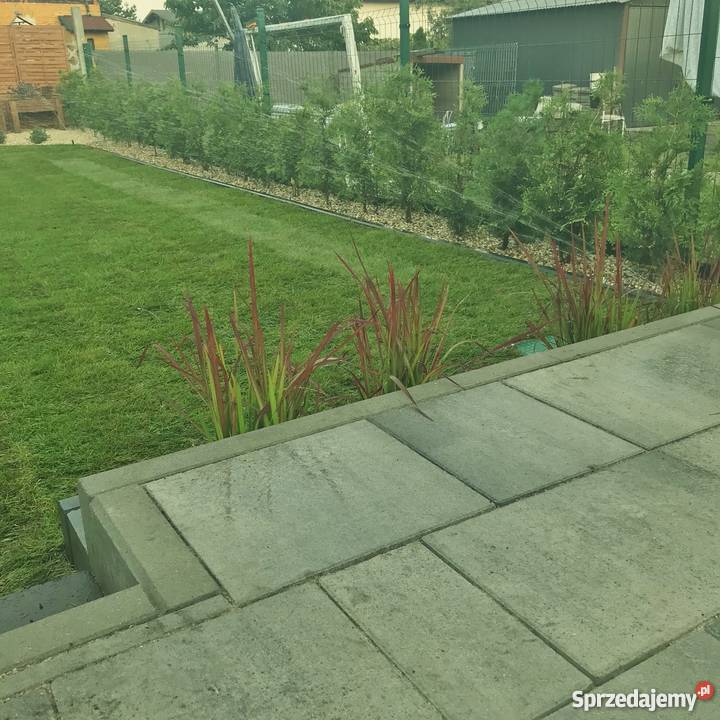 Trawa z rolki darń trawnik trawniki rolowane Bielsko-Biała