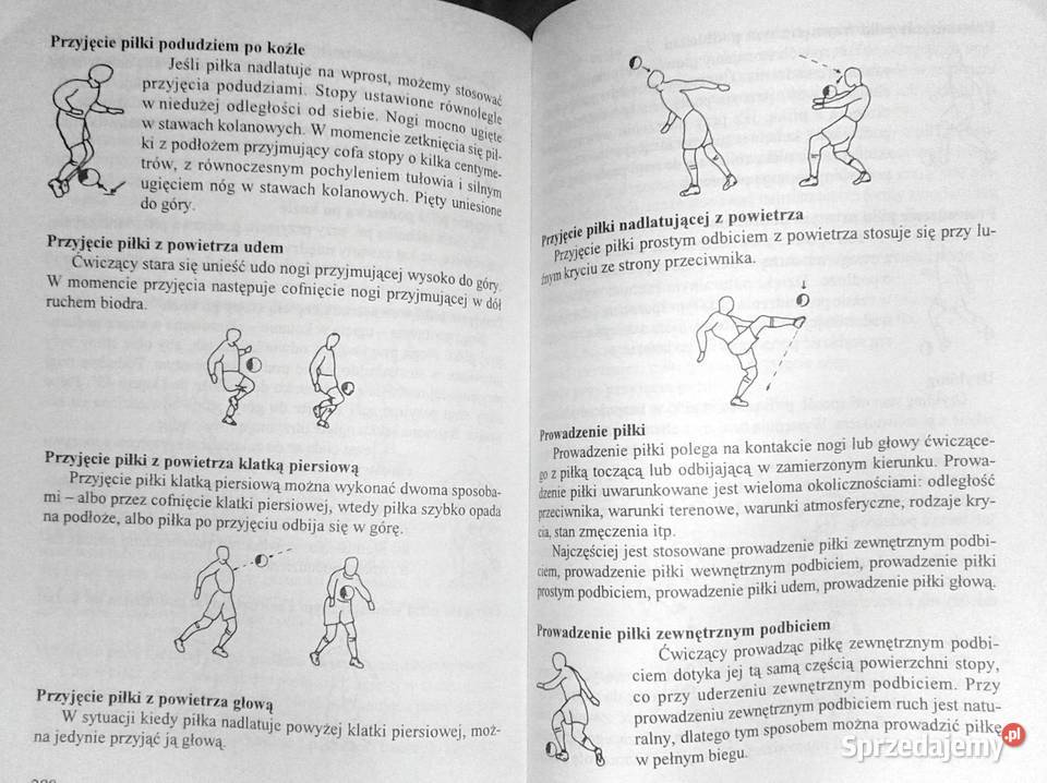 Wybrane zagadnienia wychowania fizycznego w Chełm