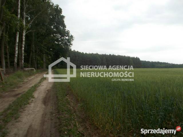 sprzedaży gruntu 41960m2 kujawsko-pomorskie