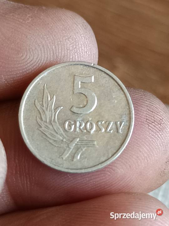 Sprzedam monete 5 groszy 1963 zzzz