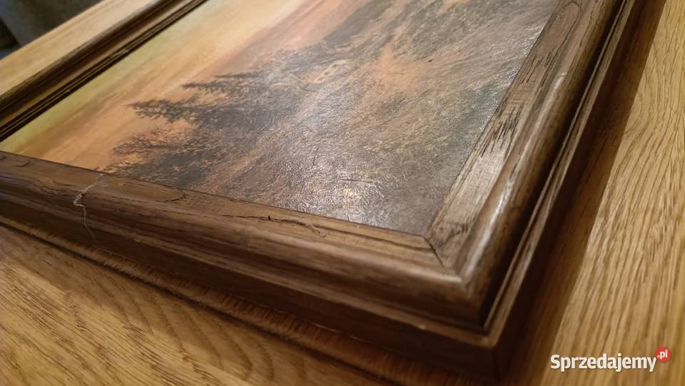 Dwa Ładne stare obrazy Reprodukcja mazowieckie Warszawa