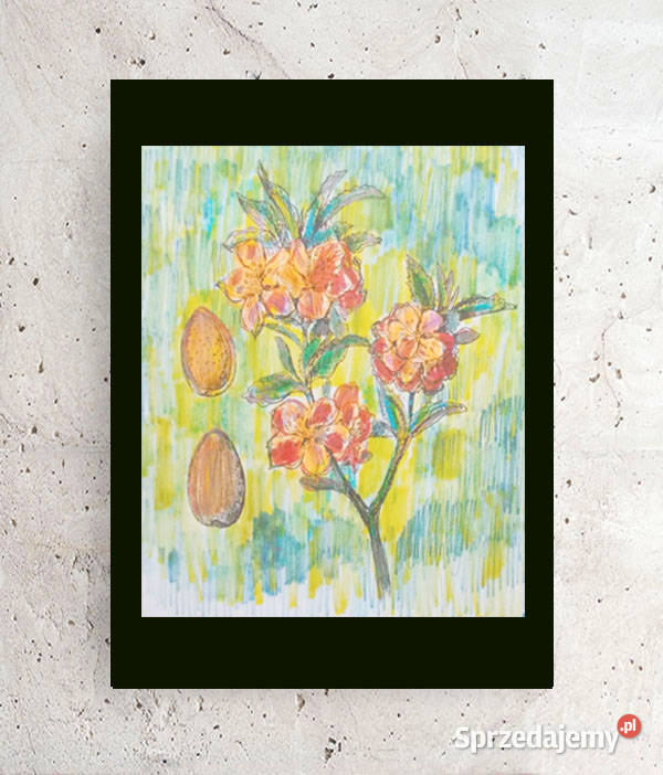 botaniczny obrazek A4 rośliny obrazek 21x30 wielokolorowy