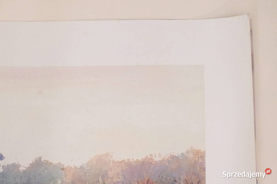 Pieter V Hoof Pejzaż Lubin sprzedam